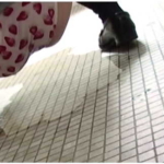 Thumbnail of post image 101